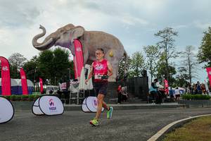 BIB: 
                            <button type="button" onclick="openModal(26528953)" class="btn btn-primary btn-sm float-right btn-popup" data-toggle="modal" data-target=".modal-high-quality">
                        <i class="fas fa-shopping-cart"></i> Add to Cart
                    </button>
                                            <button type="button" onclick="isThisMe(26528953, true)" class="btn btn-success btn-sm float-right btn-popup btn-isme hidden" data-toggle="tooltip" data-placement="bottom" title="นี่คือรูปของคุณใช่ไหม คลิกที่นี่เพื่อเอาเข้าอัลบั้ม">
                        <i class="fas fa-plus"></i> Add to album
                    </button>
                    <button type="button" onclick="isThisMe(26528953, false)" class="btn btn-warning btn-sm float-right btn-popup btn-isnotme hidden">
                        <i class="fas fa-ban"></i> Remove from album
                    </button>